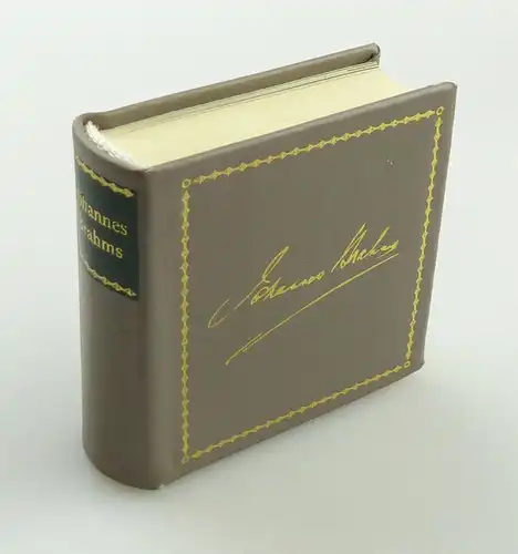 Minibuch Erinnerungen an Johannes Brahms Deutscher Verlag für Musik 1989 e11396