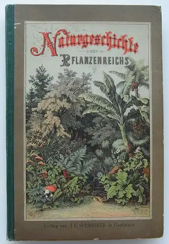 Buch Naturgeschichte des Pflanzenreiches 1874