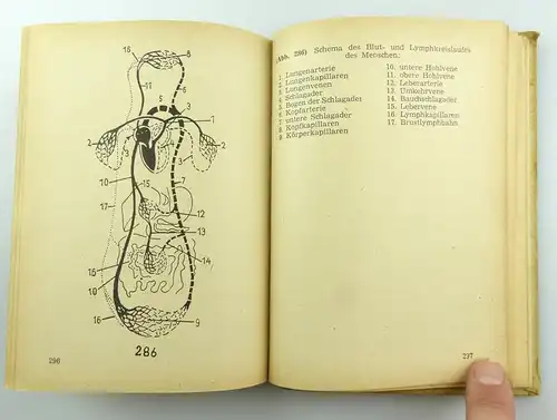 #e5911 Buch: Entwurf DV-10/2 Sportvorschrift für den Dienstgebrauch KVP 1953