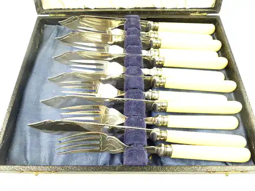 original altes Fischbesteckset mit Horngriffen für 6 Personen Silberauflage e530