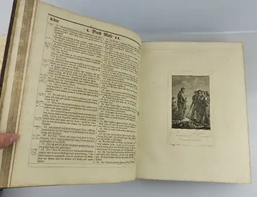 original Kirchen & Pastoral Bibel 1831 mit ca. 50 Kupfestichen SELTEN, Buch1638