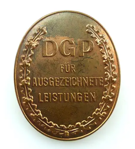 #e4656 Leistungsabzeichen der Deutschen Grenzpolizei B. Nr. 133 b (1954-90)