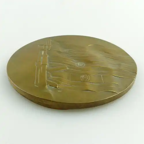 e11856 Original alte Medaille aus Bronze Waffenbrüderschaft in OVP Warschau