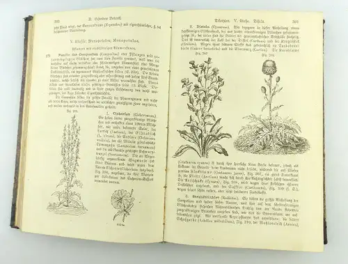 Buch: Prospectus Das Buch der Natur Februar 1875 mit Holzstichen e1177