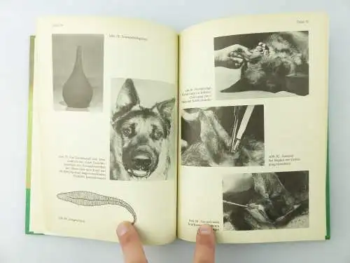 2 Bücher: geliebte Hunde mit schönen Bildern, ABC der Hundekrankheiten e898