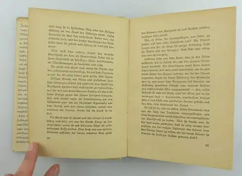 Buch: Karin von Schweden Die unsterbliche nordische Mädchengestalt e788