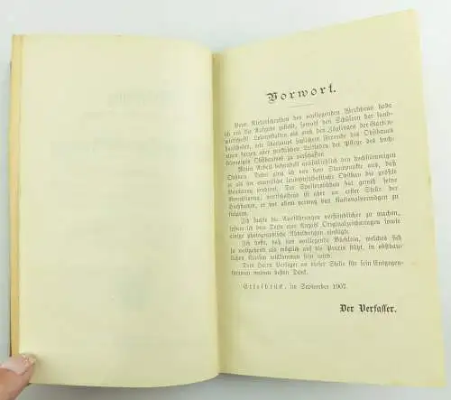 e11087 Original altes Buch Pflege des hochstämmigen Obstbaumes von Beiler 1907