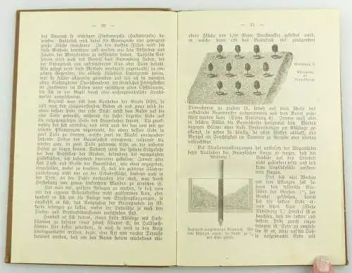 e11087 Original altes Buch Pflege des hochstämmigen Obstbaumes von Beiler 1907