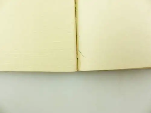 E11071 Der Schnellmaler ein neues Bilderbuch von Hans Probst München Auflage 2