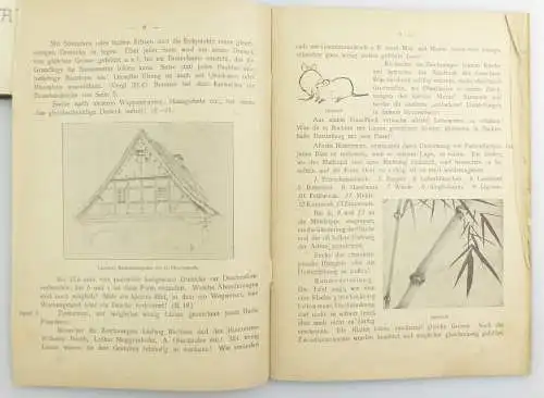 E11068 Professor Thieme und Elßner Skizzenhefte für Anfänger I von 1904