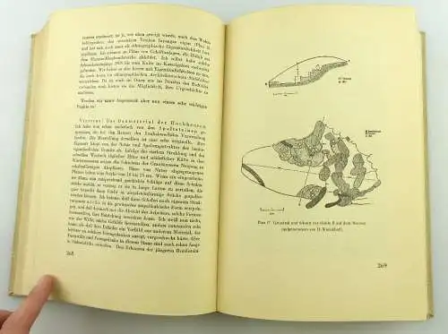 Buch: Erythräa Afrika Länder und Zeiten des heiligen Königmordes e1186