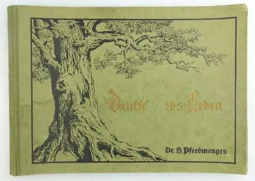 Buch: Deutschlands Leben 12 Seiten & 12 Kartenbilder 1930 dr. Pferdemenges e858