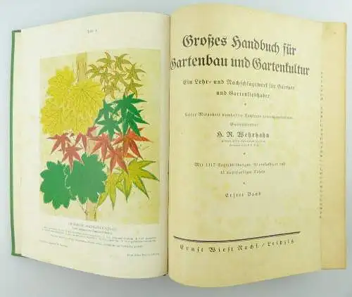 Buch: Großes Handbuch für Gartenbau und Gartenkultur 1. Band e739