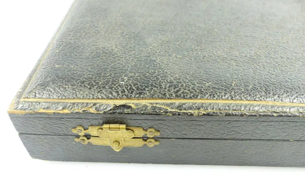 original altes Fischbesteckset mit Horngriffen für 6 Personen Silberauflage e530 5