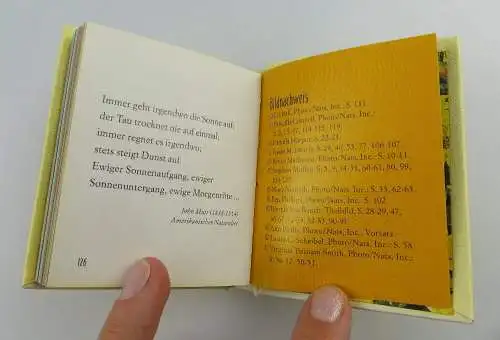 Minibuch: Sonnenblumen - Sterne der Freude arsedition minilibri e057