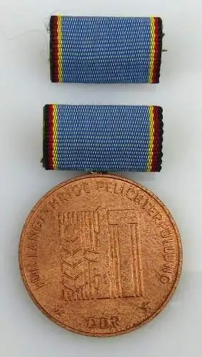 Medaille langjährige Pflichterfüllung Stärkung der Landesverteidigung, Orden1961