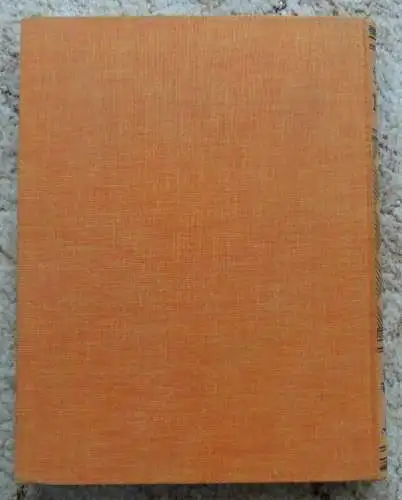 Unser Berlin Ein Jahrbuch von Berliner Art und Arbeit 1928 Buch1635