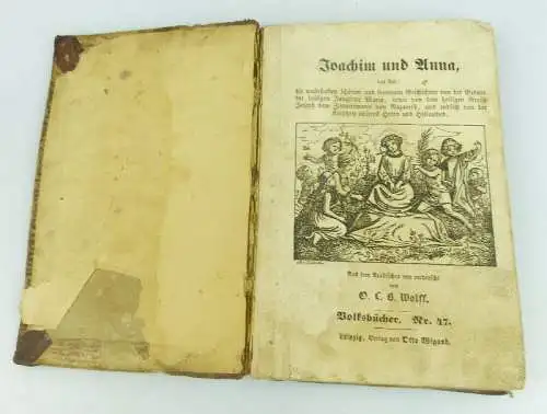 Buch: Joachim und Anna Wolfsbücher Nr. 47 Leipzig Otto Wigand bu0670