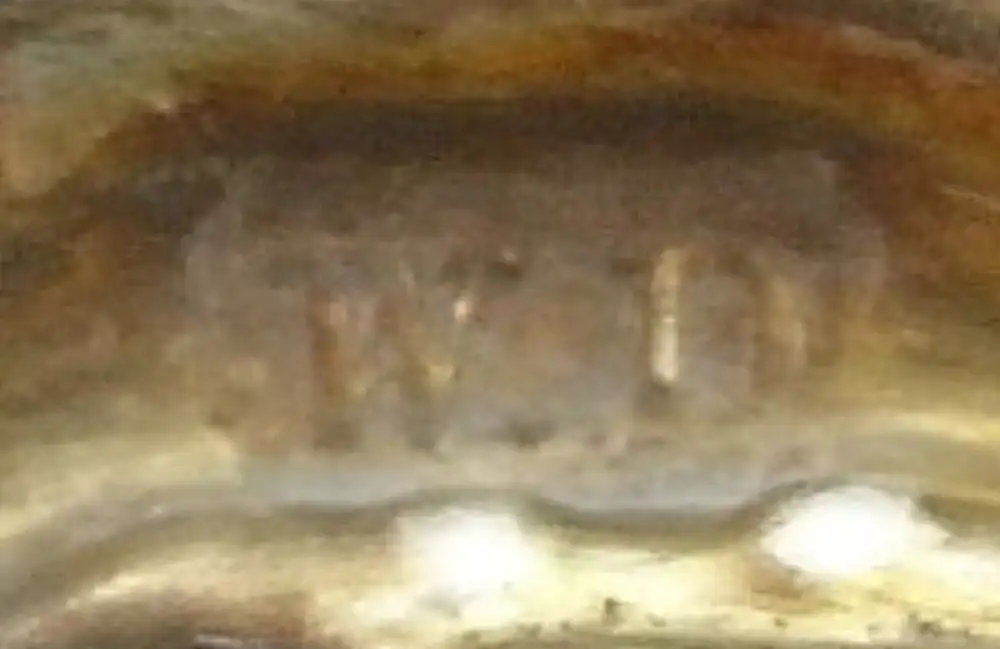 4 Salzieren / Gewürznäpfe in 925 (Ag) Silber, William Devenport, K=1909 3