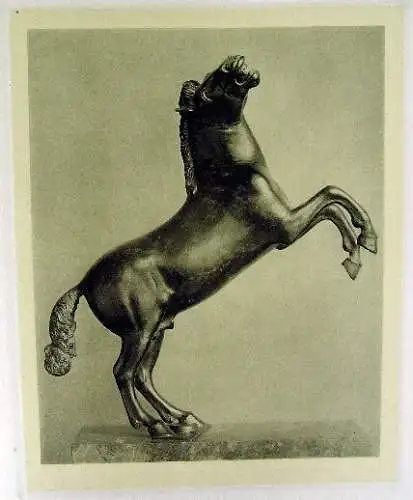 Catalogo dei Bronzi, natale 1925, Wien No.150 SELTEN