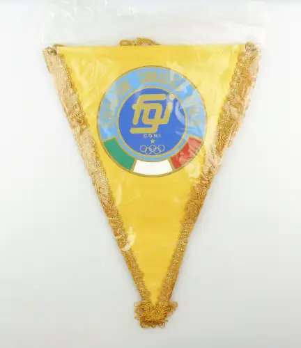 #e6260 Origina Wimpel aus Italien Gymnastika d'Italia fgi C.O.N.I. Olympia