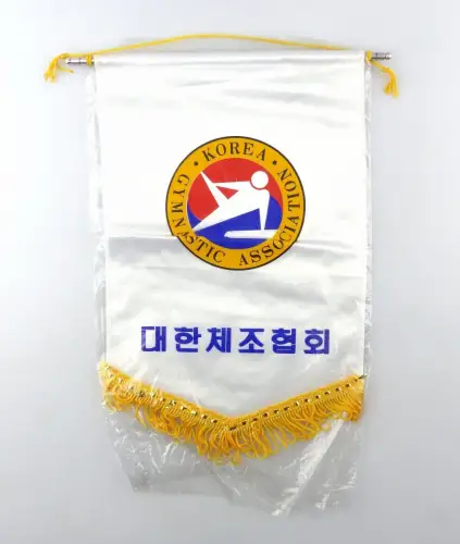 #e6343 Alter Wimpel aus Korea Gymnastic Association 