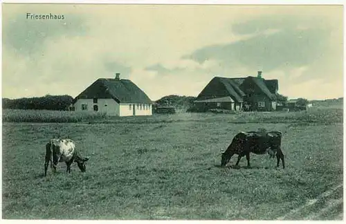 AK Friesland Typisches Friesenhaus Reetdach  (2037