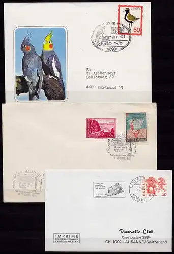 Vögel Tiere Wildlife Birds 3 covers or cards (b259