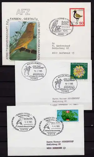 Vögel Tiere Wildlife Birds 3 covers or cards (b265