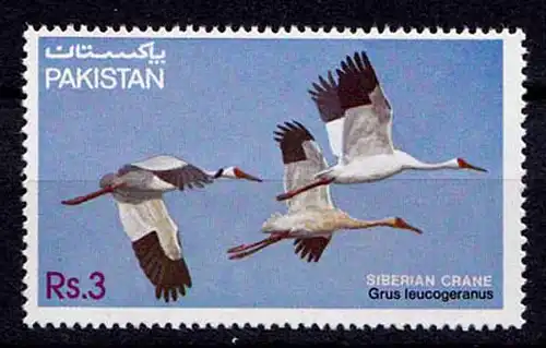 Pakistan Vögel Birds Wildlife 1983 **     (b445
