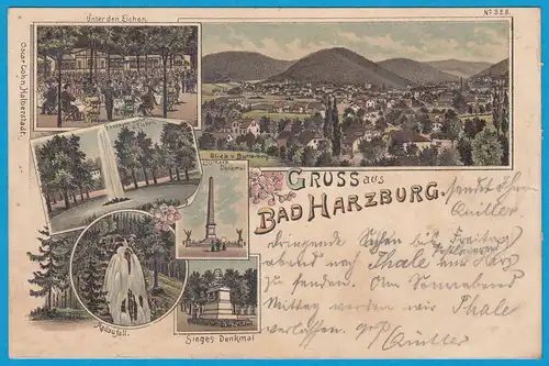 AK Litho Bad Harzburg Goslar Blick Butterberg 1897   (2426