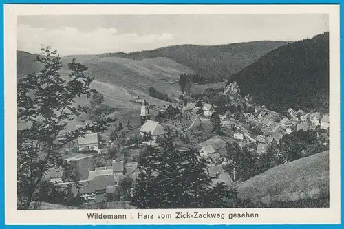 AK Wildemann i. Harz Gesamtansicht   (2444