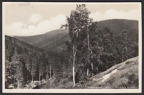 AK Hahnenklee Harz Blick ins Granetal  (16471