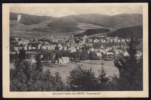 AK Olsberg Sauerland Gesamtansicht nach Borghorst  (17257