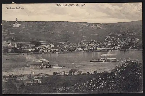 AK Gesamtansicht Rüdesheim am Rhein (17347