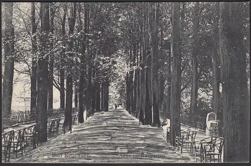 AK Bad Neuenahr Allee im Kurgarten    (12498