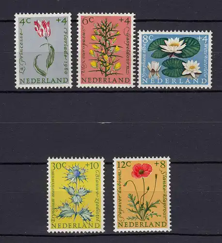 Niederlande  Mi. 746-750 postfrisch Sommermarken 1960 (80032