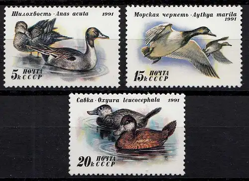 Russia - Soviet Union 1991 Mi.6210-12 Enten Vögel ** MNH set   (83018
