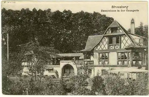 AK Strassburg Bauernhaus in der Orangerie   (1229