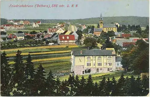 AK 1916 Sachsen-Anhalt Friedrichsbrunn mit Grebe Hotel + Gesamtansicht    (0901
