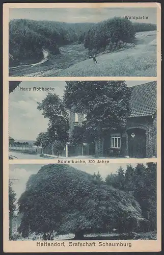 AK Hattendorf Grafschaft Schaumburg Haus Robbecke 1932   (26724