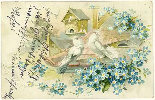 AK 1905 Glückwunsch Blumen Tauben Pärchen Prägedruck Embossed     (2844