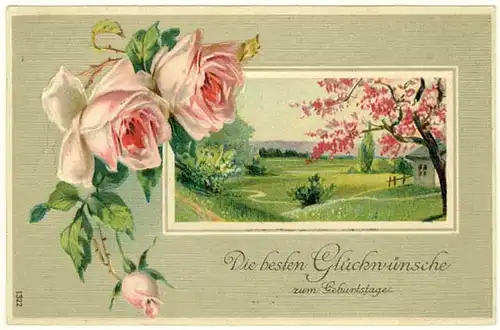 AK 1911 Glückwunsch Geburtstag Birthday tolle Karte Rosen Prägedruck   (2816