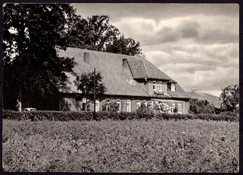 AK Nienwohlde Wrestedt Suderburg Bauernhof Anneliese Heitsch   (6982