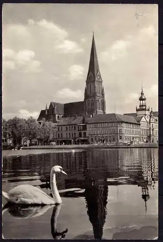 AK Schwerin 1966 Pfaffenteich mit Dom und Schwan    (6966