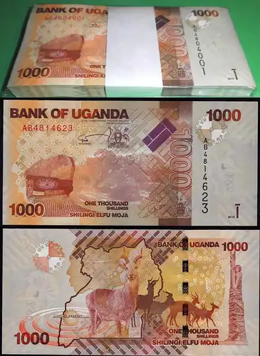 Uganda 1000 Shillings 2010 Pick 49a UNC (1) Bundle á 100 Stück   (90123