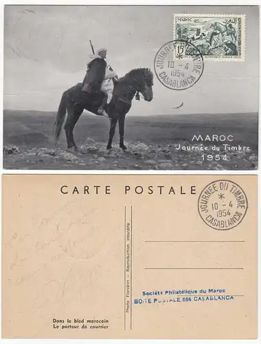 Morocco - Maroc 1954 Maximum card horses Bedouins CASABLANCA   (28649