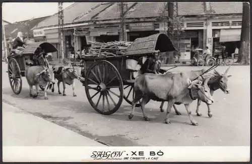 Vietnam 1966 AK Saigon XE BO Ochsenkarren - Ox cart    (28455