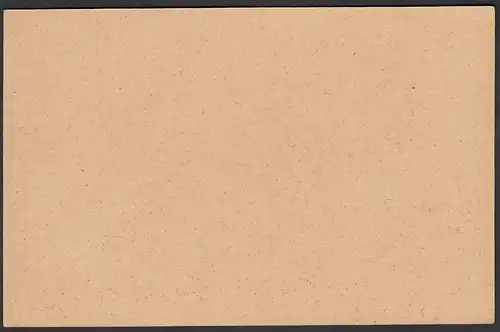 Deutsches Reich Postkarte-Ganzsache P156 ungebraucht 1924  (25786