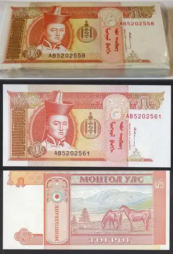 Mongolei - Mongolia 5 Tugrik 1993 Bundle á 100 Stück Pick 53 UNC (1)    (90144